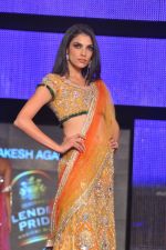 at Blenders Pride Fashion Tour 2011 Day 2 on 24th Sept 2011 (166).jpg